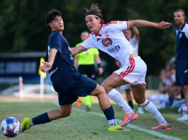 Calcio Serie B – Si riaccendono le luci del Martelli: c’è Mantova-Carpi per il “Cappelletti”