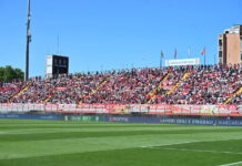 Calcio Serie B – Mantova, il Ccmc invita i tifosi a “colorare il Martelli”. Coppa Italia: via alla prevendita per Palermo