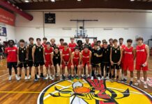 Basket serie B Int. – Buone indicazioni alla Tea Arena. L’Amica Chips brilla col Viadana