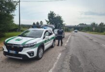 Follia in città: forza il posto di blocco e fugge contromano. Identificato grazie alle telecamere “leggi-targhe” se la cava con una denuncia grazie alla trascorsa flagranza