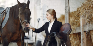Come capire se la sella non va bene al cavallo: i segnali sul dorso
