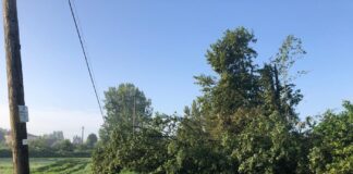 Confcommercio avvia la ricognizione dei danni dopo il maltempo in provincia