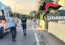 Pitbull uccide un cane a Borgo Virgilio: il proprietario perde un dito nel tentativo di separarli