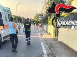 Pitbull uccide un cane a Borgo Virgilio: il proprietario perde un dito nel tentativo di separarli