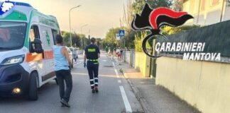 Pitbull uccide un cane a Borgo Virgilio: il proprietario perde un dito nel tentativo di separarli