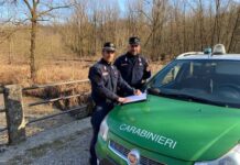 Abusi edilizi sul Tartaro Fabbrezza: crolla la sponda del fiume, tre denunciati dai Carabinieri Forestali