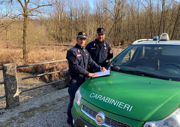 carabinieri-forestale-lombardia-gruppo-di-como-1204585.610x431