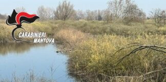Canneto – Prelievo d’acqua abusivo dal Chiese, beccato dai Forestali