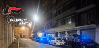 Mantova, blatte e carne scaduta in un bar di via Bonomi: dopo una sanzione di 4mila euro, scatta anche la chiusura