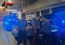 Blatte e sporcizia in un bar di via Bonomi a Mantova: scatta una multa da 4mila euro