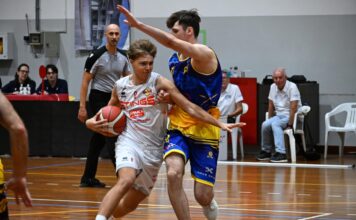 Basket Serie B Interregionale – Amica Chips, pre-season e new entry