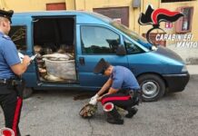 Ferragosto, controlli a tappeto: sequestri, denunce e sicurezza rafforzata in tutta la provincia