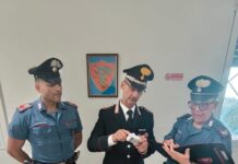 Carabinieri: maxi-sequestro di droga e due arresti a Magnacavallo. Uno dei due spacciatori bloccato dopo un tentativo di fuga