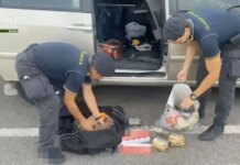 Porto di Civitavecchia, maxi sequestro di tabacco proveniente dall’Algeria