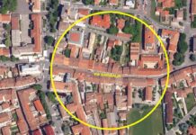 Un caso di Dengue a Viadana, scatta la disinfestazione