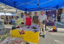Una vendita solidale per aiutare la Casa del Sole con Lions Club Mantova Terre Matildiche
