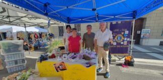 Una vendita solidale per aiutare la Casa del Sole con Lions Club Mantova Terre Matildiche