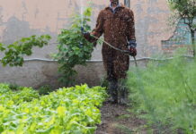 L’orto del carcere di via Poma riapre per Interno Verde