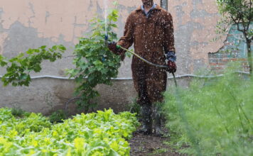 L’orto del carcere di via Poma riapre per Interno Verde