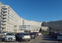 Follia alla fiera di Rivarolo del Re: 22enne colpito da un pugno finisce in terapia intensiva