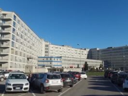 Follia alla fiera di Rivarolo del Re: 22enne colpito da un pugno finisce in terapia intensiva