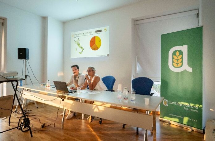Un momento del convegno in Millenaria_4124453