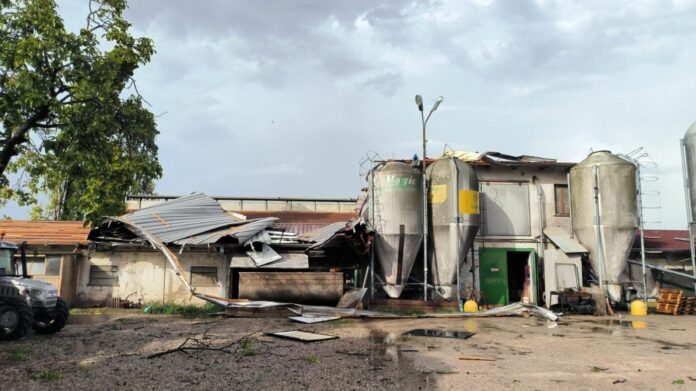 Unazienda agricola nella zona di Goito danneggiata dalla tromba daria del 28 agosto_4116220