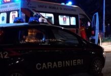 Paura in un’azienda agricola a Goito: titolare di 64 anni colpito da un toro