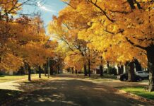 Alta pressione con sole fino a giovedì, poi l’incognita del primo freddo d’autunno