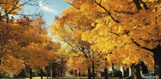 Alta pressione con sole fino a giovedì, poi l’incognita del primo freddo d’autunno