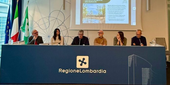 canneto progetto bioclima