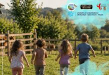 Il Consorzio partecipa alla fiera Millenaria che si tiene a Gonzaga da venerdì 4 a martedì 8 settembre