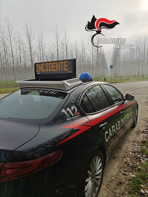 foto 1 (4)