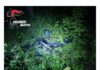 Castel d’Ario. Con la moto nel fosso, morto un 36enne