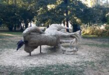 Nuova vita per il parco storico di Villa Strozzi di Gonzaga