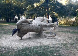 Nuova vita per il parco storico di Villa Strozzi di Gonzaga