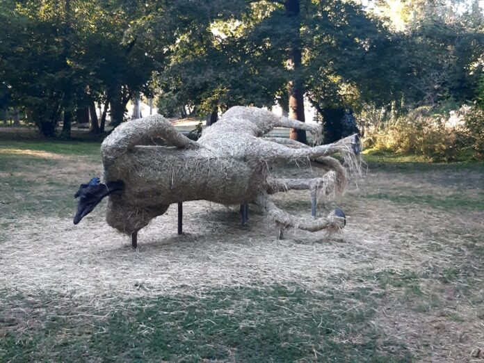 parco villa strozzi_4146851