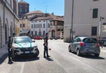Multe per il telefono al volante: a Mantova i casi passano da 6 a 80 in un anno
