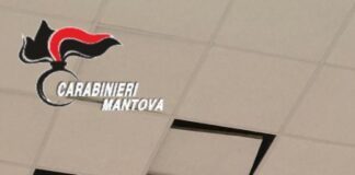 Vandalismi al palazzetto dello sport di Quistello: denunciati cinque sedicenni