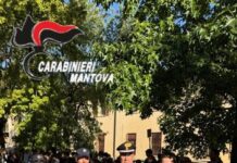 Viadana, grande successo per “4 zampe per il sociale”: in cattedra anche il cane Carabiniere Ziggy