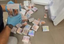 Venti chili di hashish nascosti in confezioni di papaya, un arresto a Cagliari