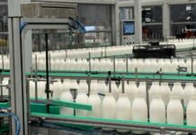 Arriva sul mercato italiano un’innovativa bottiglia in fibra di carta