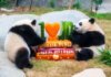 L’Ocean Park di Hong Kong celebra i 50 anni con nuove strutture e iniziative