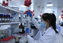 Cina, spesa per ricerca e sviluppo in aumento dell’8,2% nel 2025