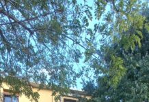 Incendio in via Bellonci: condominio inagibile, 15 persone sfollate in un albergo