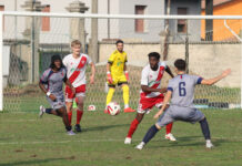 Calcio Promozione – Crisi Asola, il ds Sandrini: “Serve più cattiveria”