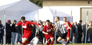 Calcio Promozione – Bozzolini, fame da squalo: “Aiuterò la Dinamo con i miei gol”