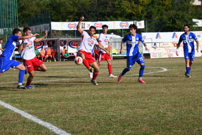 DSC_9991_4161504