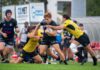 Rugby serie A Elite – Luca Strabucchi punta in alto: ”Viadana club prestigioso, deve lottare per lo scudetto”