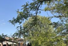 Fare, sentire e stare: l’autunno di Spazio Concari